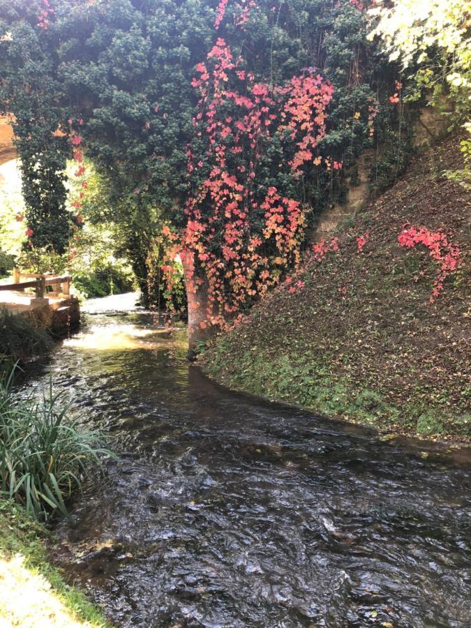 Les Eyzies Le Moulin De La Beune מראה חיצוני תמונה